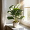 LushLife Artificial Palm Plant With Monstera Leaves For Tropical Home Decor 3