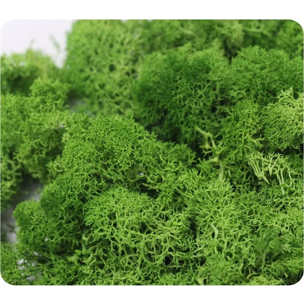 EverGreen Artificial Moss For Crafts And Moss Wall Decor 2