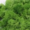 EverGreen Artificial Moss For Crafts And Moss Wall Decor 2