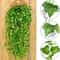 Lifelike Artificial Ivy Garland For Wall Wedding And Home Decor 3