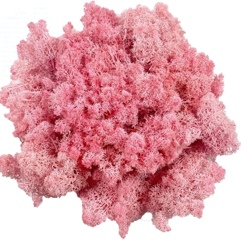 Premium Artificial Moss For Plants Crafts Realistic Reindeer Moss Decor For DIY Floral Wall Styl 12