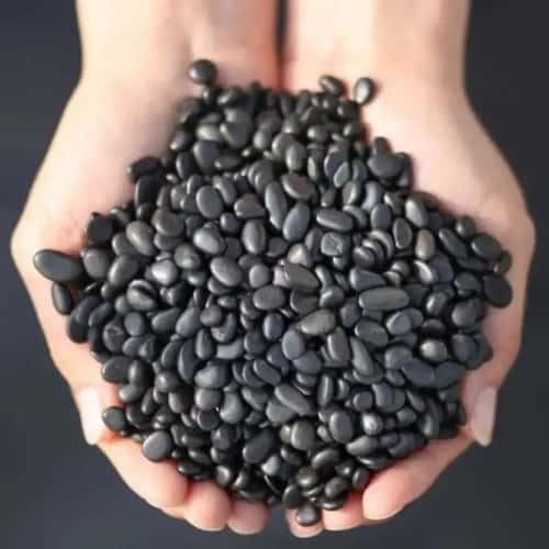 Natural shungite gravel for Water Carafes, Crystal Rituals, and Home Decor