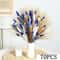 Blue Pampas Grass Bunny Tail Dried Flower Bouquet For Boho Home Decor 6