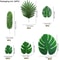 Lush Tropics Artificial Palm Leaves Set For Jungle Party Home Decor 16