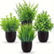 4Piece Artificial Potted Plants Set Mini Faux Indoor Greenery Decor For Home Office 2