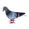 Realistic Grey Pigeon Decor Bird For Weddings Photos And Home Styling 6