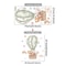Dreamy Nursery Wall Decals With Bear Rabbit Hot Air Balloons For Kids Room 15