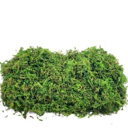 realistic artificial moss for potted plants and centerpiece decor