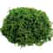 Realistic Artificial Moss For Potted Plants And Centerpiece Decor 6