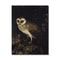 Vintage Owl Canvas Print Dark Academia Cottagecore Wall Art With Butterflies 7