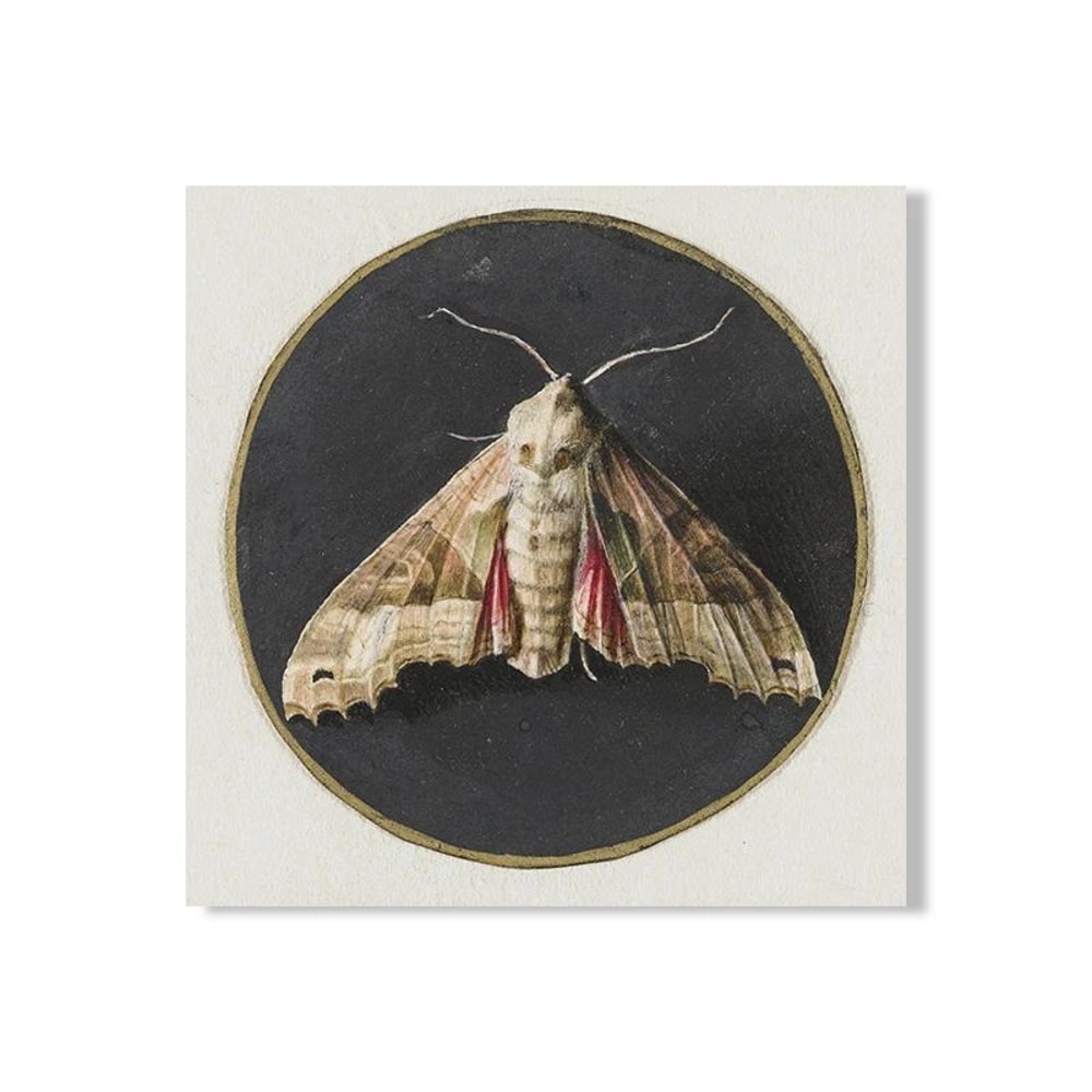 Vintage Owl Canvas Print Dark Academia Cottagecore Wall Art With Butterflies 9