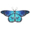 Magical Kids Butterfly Wings Cape Fairy Shawl Costume 10