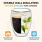 Double Wall Insulated Glass Espresso Cups Set Thermal Coffee Latte Mugs 6Piece 1