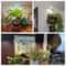 Full Spectrum LED Grow Light For Indoor Plants With Adjustable Stand 4Level Dimming 5