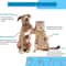 SilkyPaws Pet Grooming Brush For Dogs Cats 4