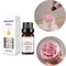 Tropical Mango Pineapple Fragrance Oil For Diffusers Soap And Candles 2