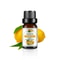 Tropical Mango Pineapple Fragrance Oil For Diffusers Soap And Candles 8