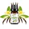 Tropical Mango Pineapple Fragrance Oil For Diffusers Soap And Candles 14