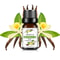 Tropical Mango Pineapple Fragrance Oil For Diffusers Soap And Candles 14