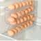 RollFlow Automatic Egg Organizer Rack For Refrigerator 1