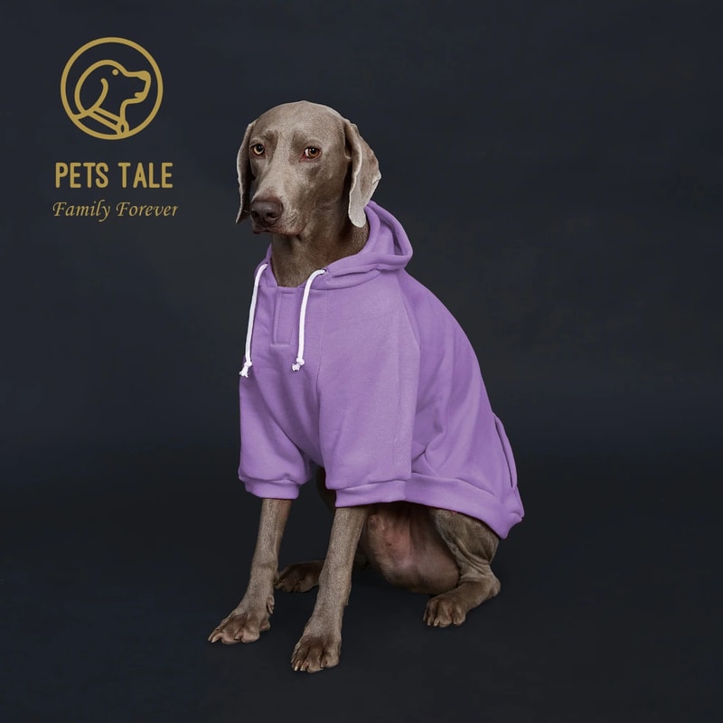 UrbanPaws Dog Hoodie With Pocket Adjustable Collar For Small To Medium Dogs 10