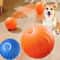 Automatic Dog Ball Smart USB Interactive Dog Toy For Puppies 0