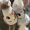 CozyEase Breathable Small Dog Winter Vest For Cats And Puppies 1