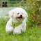 Reflective Adjustable Dog Harness Leash Set For Small Medium Dogs And Cats 4