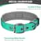 ComfortFit Reflective Padded Dog Collar 4