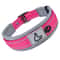 ComfortFit Reflective Padded Dog Collar 12