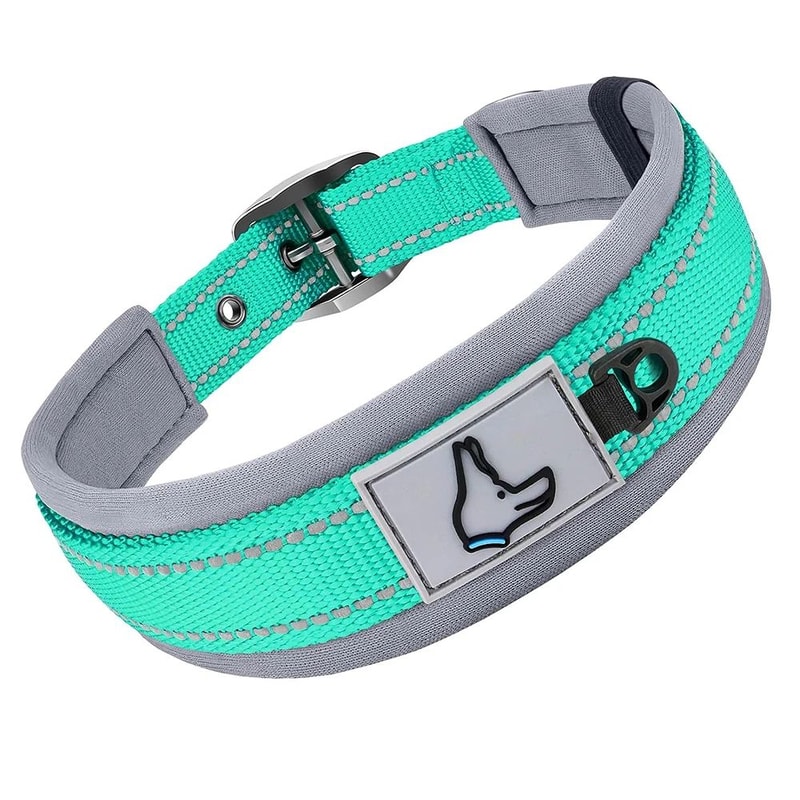ComfortFit Reflective Padded Dog Collar 16