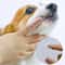 SoftPaw Silicone Pet Finger Toothbrush Set Gentle Dog Cat Dental Care Brush 5Pack 3