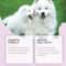 FreshPaws Pet Dental Spray For Dogs Cats 2