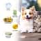PetGuard AntiFlea Dog Shampoo For Itchy Skin Odor Control 3