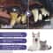 FreshSmile Pet Dental Gel Pen For Dogs And Cats 4