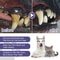 FreshSmile Pet Dental Gel Pen For Dogs And Cats 4
