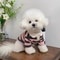 CoolBreeze Striped Dog Shirt With Polo CollarCoolBreeze Striped Dog Shirt With Polo Collar 0