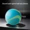 GlowFetch Durable Rubber Dog Ball For Night Play 9