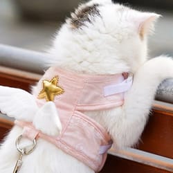 angel wings pet harness with leash set for cats & small dogs