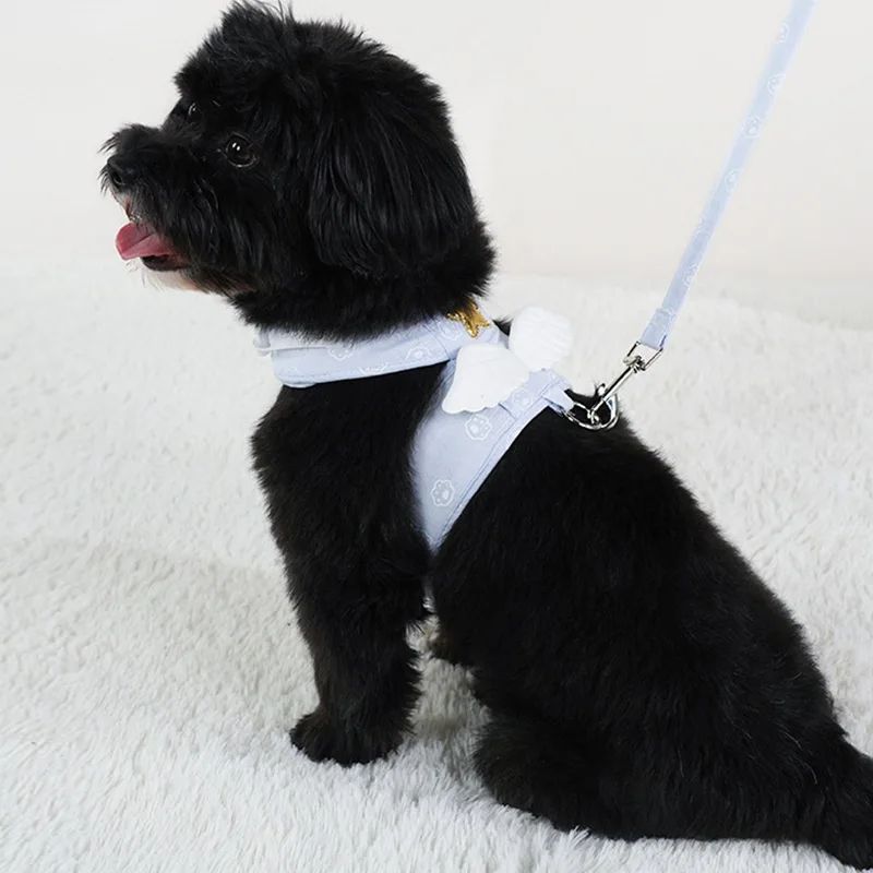 Angel Wings Pet Harness With Leash Set For Cats Small Dogs 4