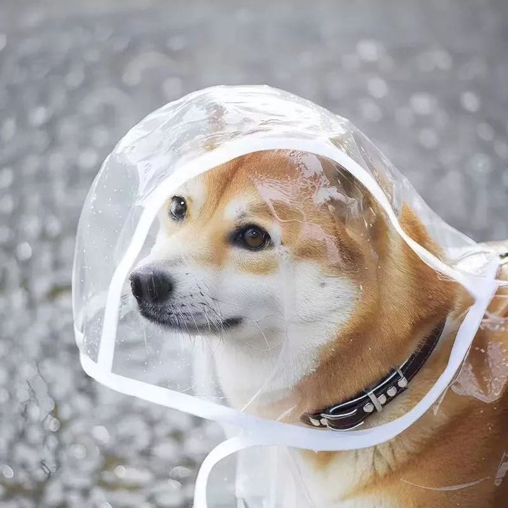 ClearShield Waterproof Dog Raincoat For Small Large Dogs 1