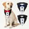 Adjustable Dog Wedding Collar With Bow Tie Tuxedo Bandana 0