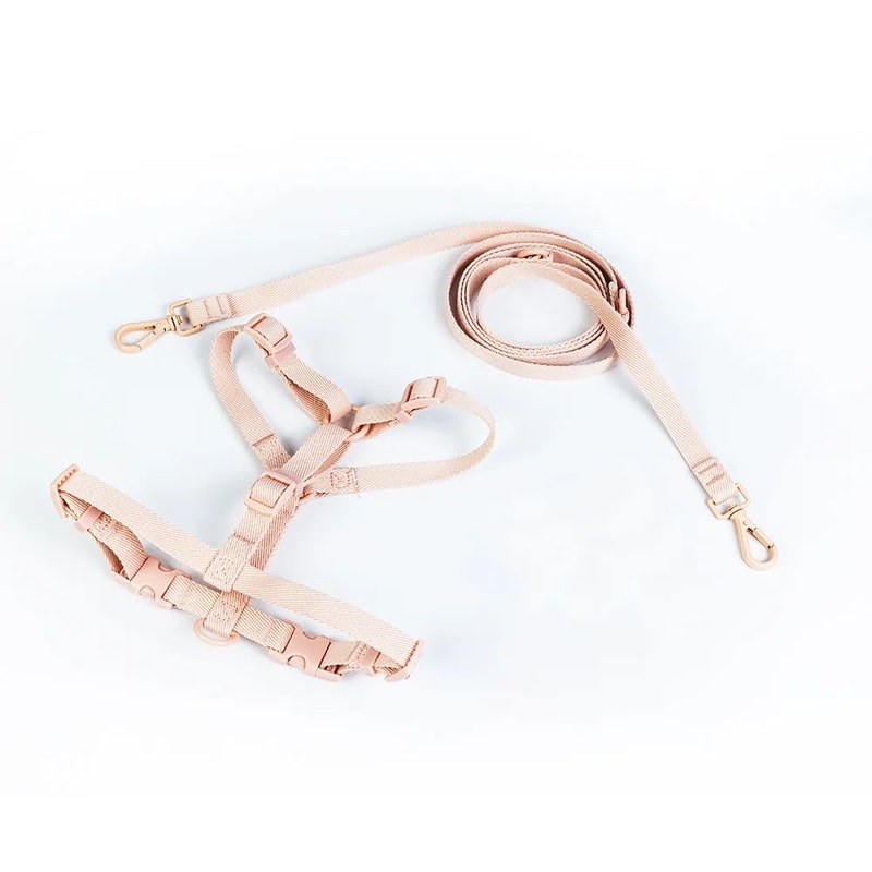 Macaron Adjustable Dog Harness Set With Matching Leash For Small Medium Dogs 8