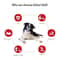 PawBounce Natural Rubber Dog Chew Toy Ball For Puppies Small Dogs 2