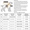 SanrioInspired Cute Sleeveless Pet Vest For Dogs And Cats 5