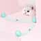 Smart Rolling Ball Interactive Cat Toy 4