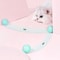 Smart Rolling Ball Interactive Cat Toy 4