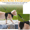 PurrSecure Escape Proof Cat Harness And Leash Set 1