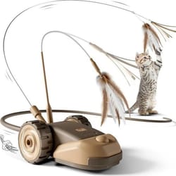 smart motion cat toy car for interactive indoor play