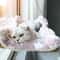 CozyView Cat Window Hammock Washable Suction Cup Perch Bed For Indoor Cats 0